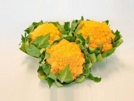 broccolo romano giallo biologico
